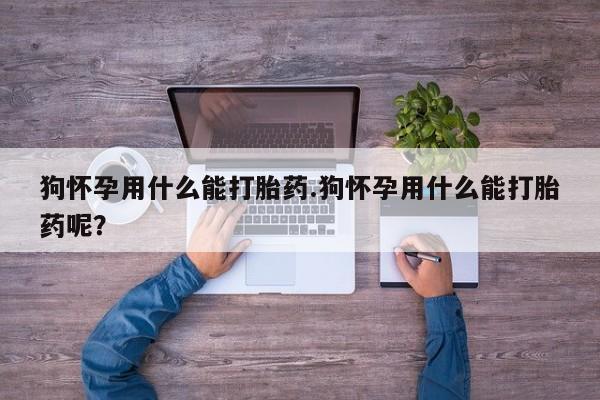 米非米索在线购买狗怀孕用什么能打胎药.狗怀孕用什么能打胎药呢？