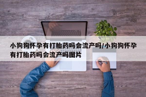 米非米索在线购买资讯 第17页