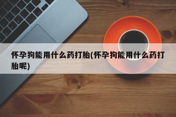 米非米索在线购买怀孕狗能用什么药打胎(怀孕狗能用什么药打胎呢)
